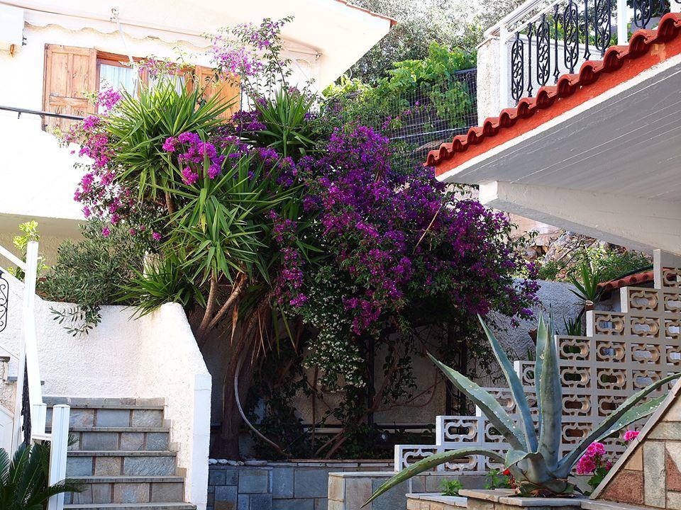 Hotel Vicky II Plomari Exterior photo